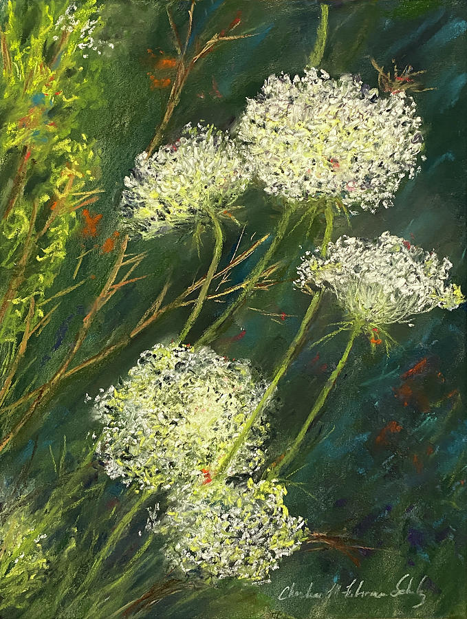 Queen Annes Lace Painting by Charlene Fuhrman-Schulz