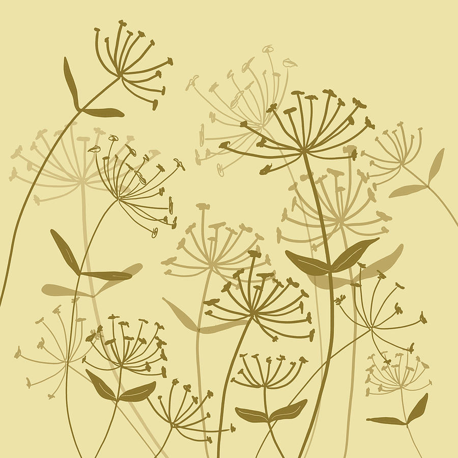 Yellow Queen Anne's Lace