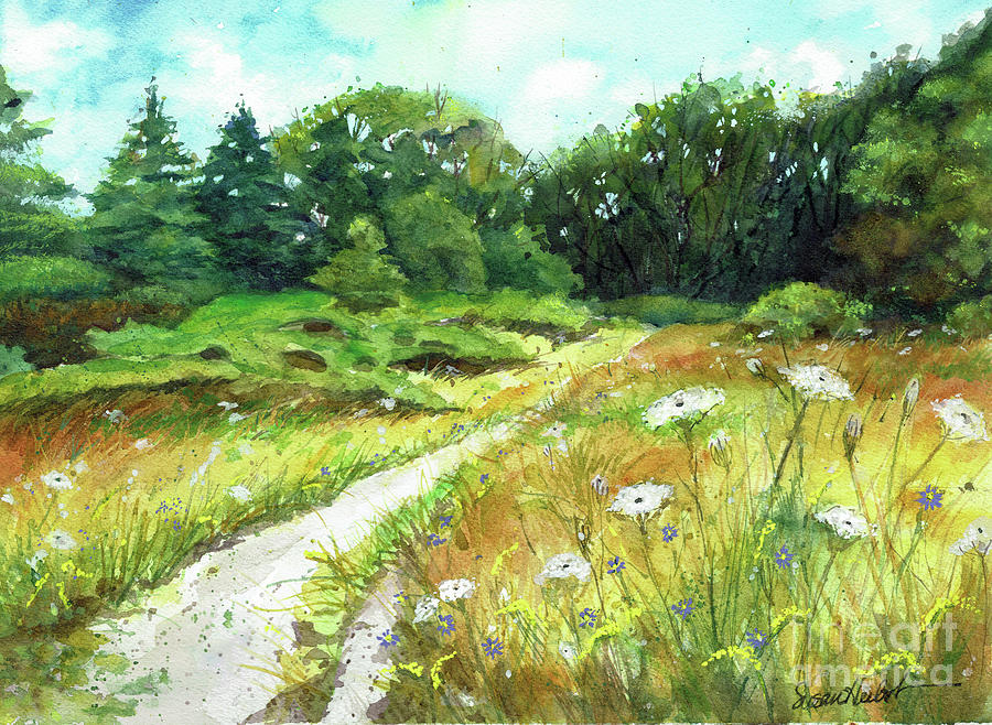 Queen Annes Meadow Painting by Susan Herbst