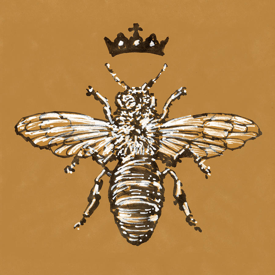 Queen Drawing - Queen Bee by Peter Farago