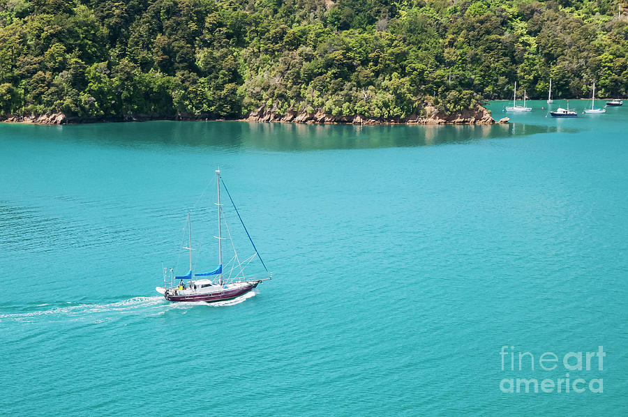 Queen Charlotte Sound Sailboats Photograph by Bob Phillips