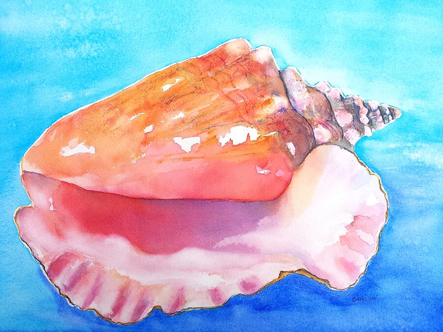 Queen Conch Shell Painting by Carlin Blahnik CarlinArtWatercolor