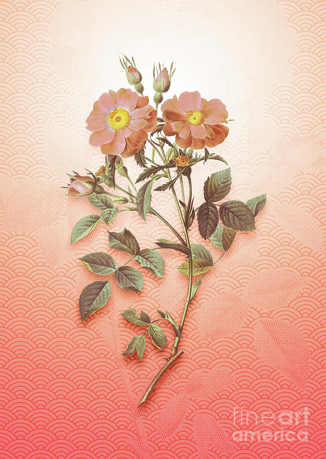 Queen Elizabeths Sweetbriar Rose Vintage Botanical In Peach Fuzz Seigaiha Wave Pattern N.1767 Painting