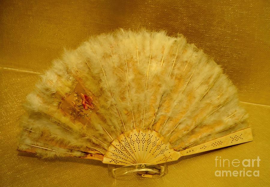 Queen Emmas Feather Fan Photograph by Mary Deal