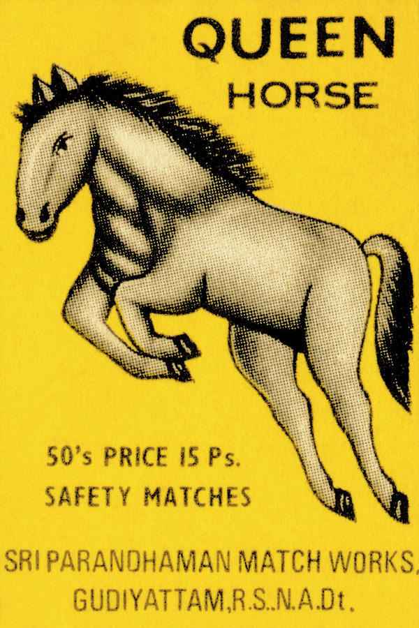 Vintage Drawing - Queen Horse Matches by Vintage Match Covers