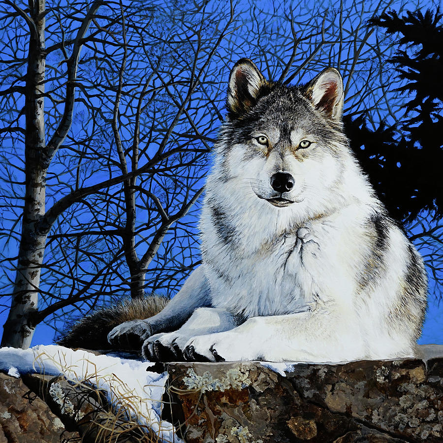 Queen of All She Surveys - Timber Wolf Painting by Laara Cassells ...