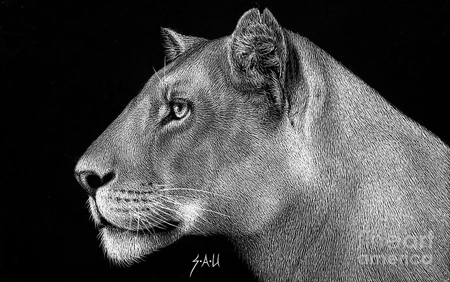 Queen of the Savanna Drawing by Sheryl Unwin