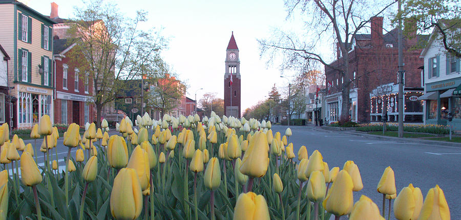 Tulip Boulevard  on Queen Street in Niagara on the Lake Photograph by Kenneth Lane Smith