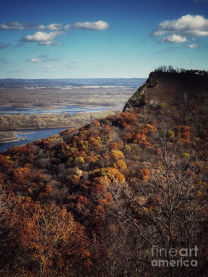 Queens Bluff Photograph by Marilyn Smith