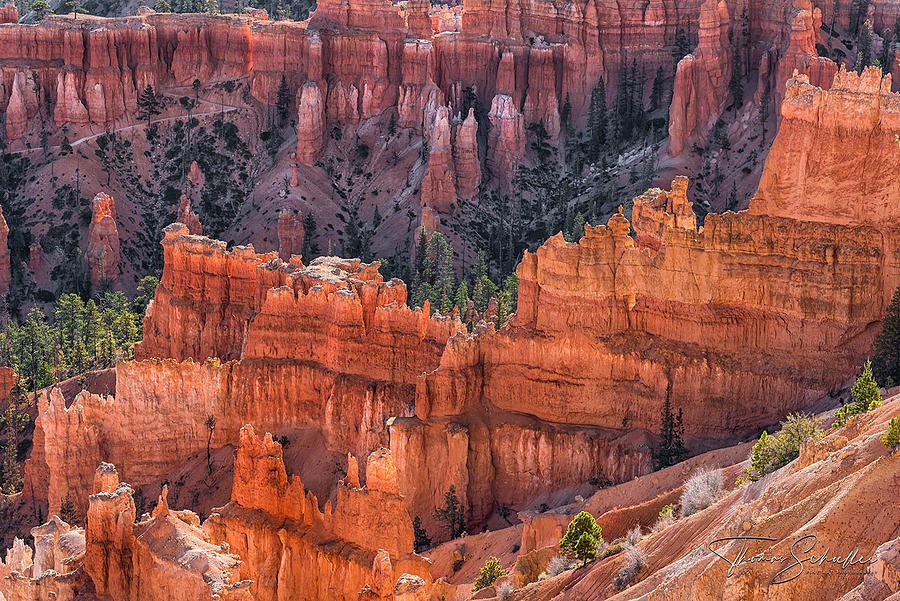 Queens Garden Overlook - Bryce Canyon Limited Edition of 150 Photograph by Thomas Schoeller Fine Art Photography - Limited Editions