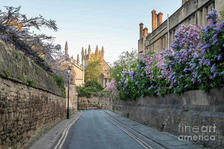 Queens Lane Oxford at Sunrise Photograph by Tim Gainey