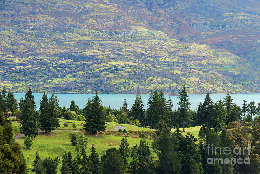Queenstown Golf Club on Lake Wakatipu  Photograph by Bob Phillips