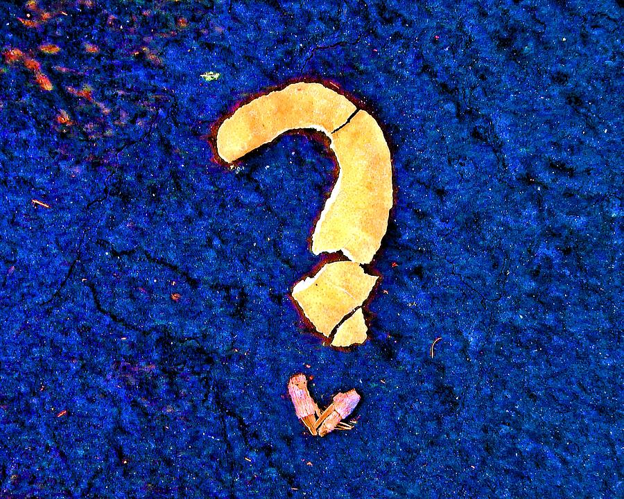 Question Mark Art Photograph by Andrew Lawrence