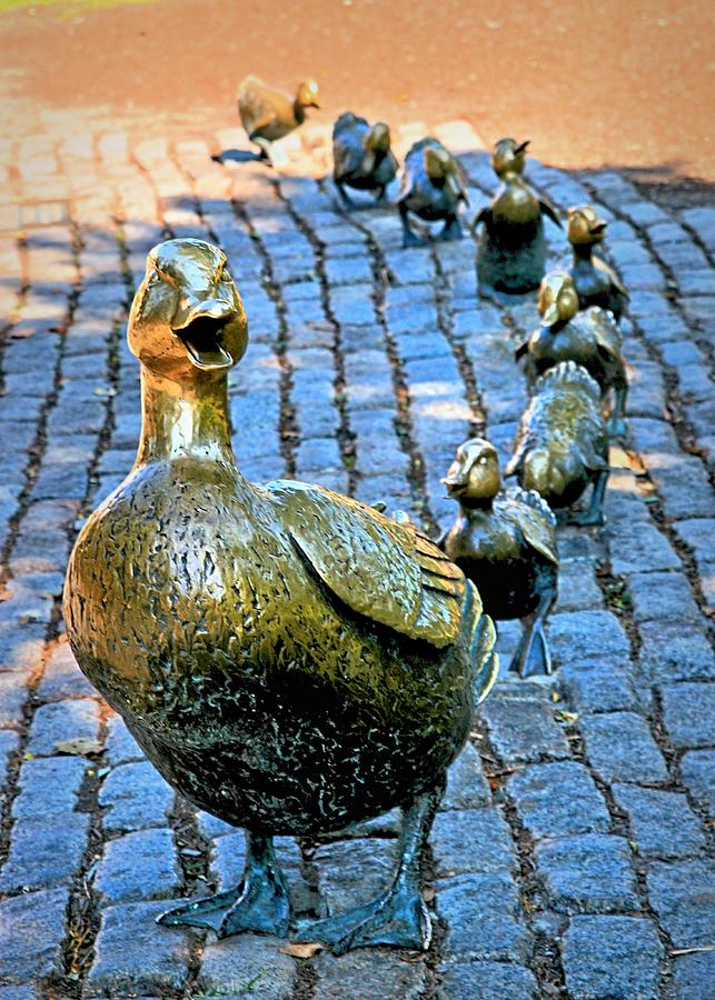 Queue Your Ducks Photograph by DJ Florek