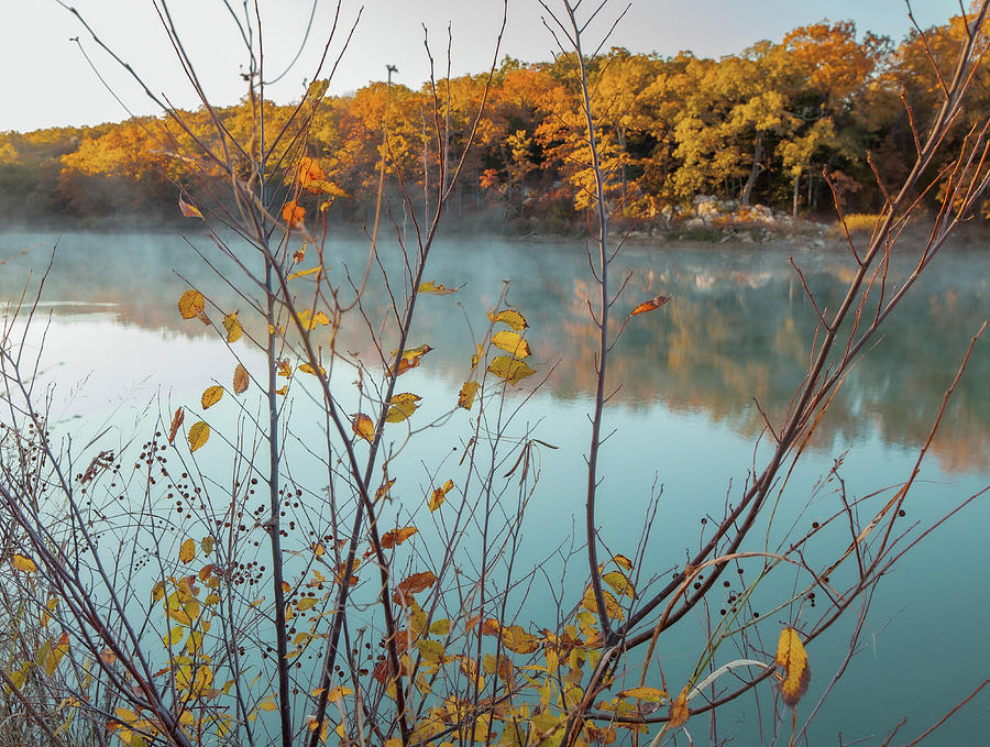 Quiet Autumn Photograph by Iris Greenwell