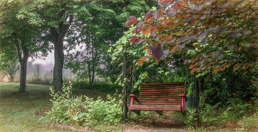 Quiet Backyard Retreat Photograph by Marcy Wielfaert