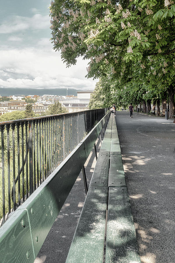 Quiet Charm of the Promenade de la Treille in Geneva Photograph by Benoit Bruchez