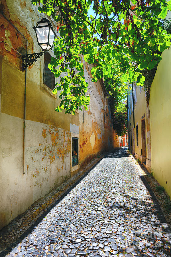 Quiet Cobblestone Street in Alfama District, Lisbon Portugal Photograph by George Oze