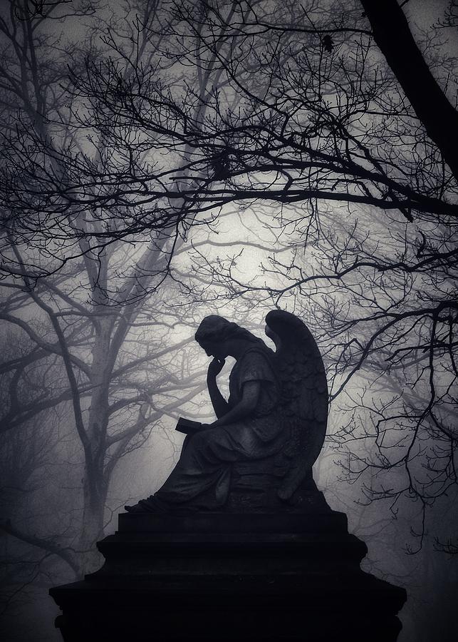 Quiet Contemplation Photograph by Dark Whimsy