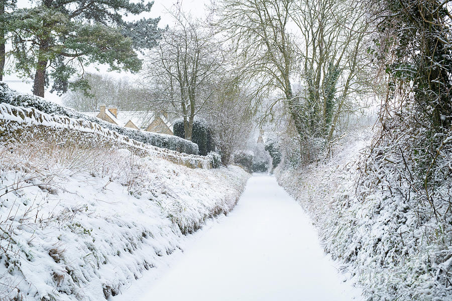 Quiet Country Lane in the Snow Photograph by Tim Gainey