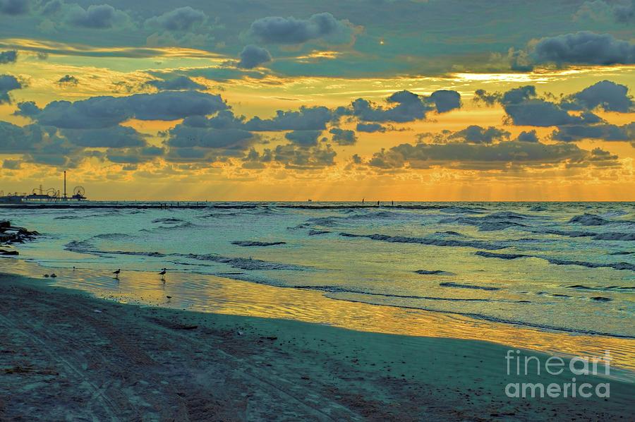 Quiet Dawn Photograph by Diana Mary Sharpton