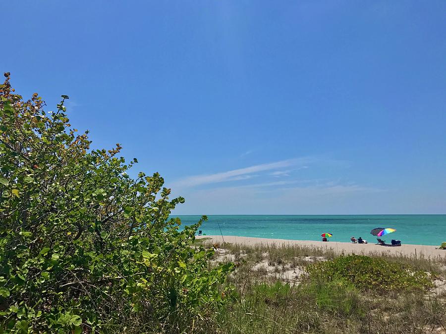 Quiet Gulf Beach Day Photograph by DJ Gregoire - Fine Art America