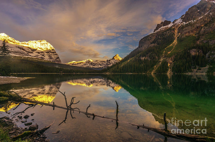 Quiet Lake OHara Sunrise Photograph by Mike Reid
