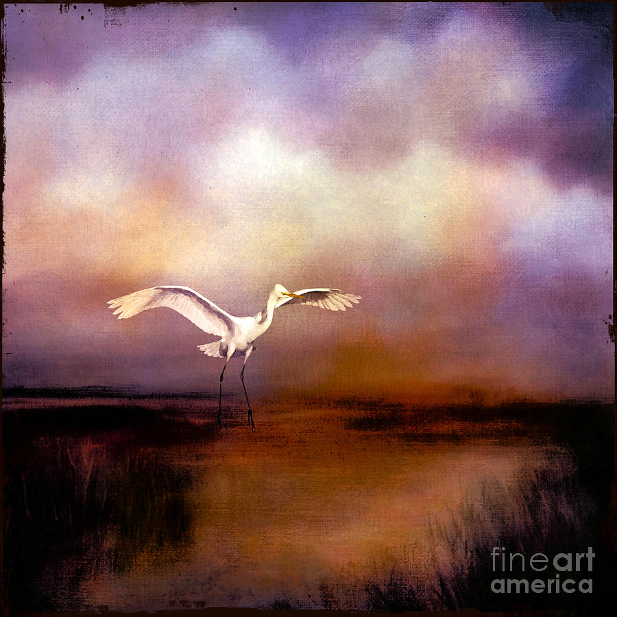 Quiet Marsh with Egret Digital Art by Judi Bagwell