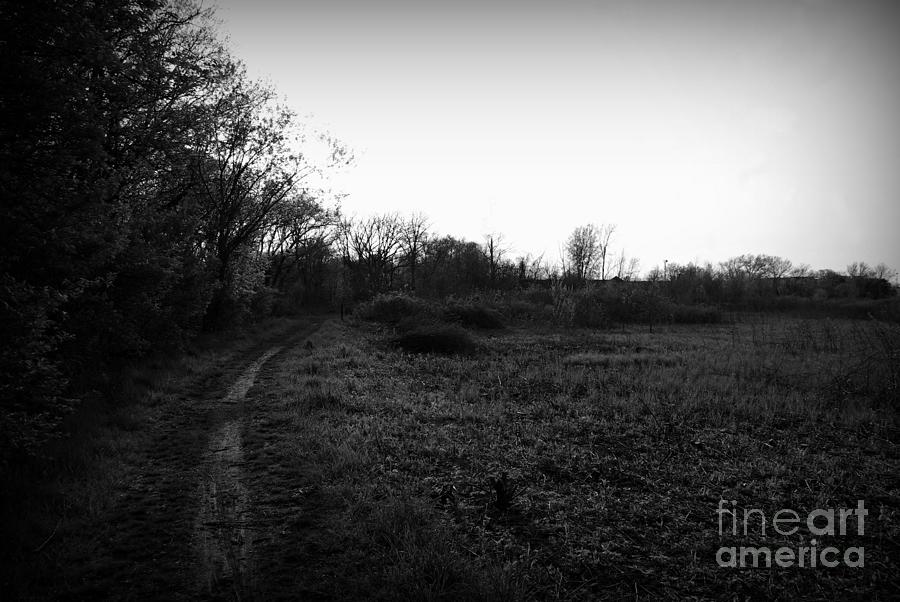 Quiet Morning On The Preserve Trail - Black and White Photograph by Frank J Casella