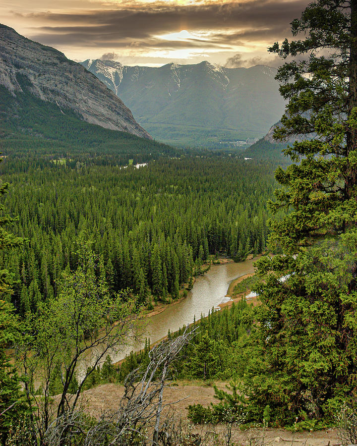 Quiet River, Alberta, Canada Photograph by Mark Llewellyn