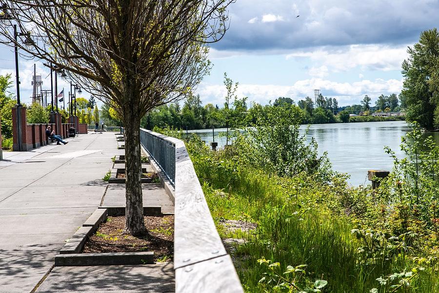 Quiet Riverwalk and Placid Skagit River Photograph by Tom Cochran