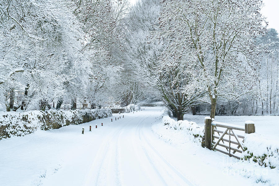 Winter Photograph - Quiet Snow Covered Country Lane into Swinbrook by Tim Gainey