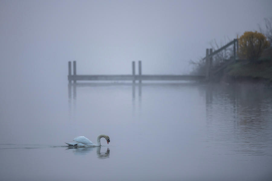 Quiet Solitude Photograph by Robert J Wagner