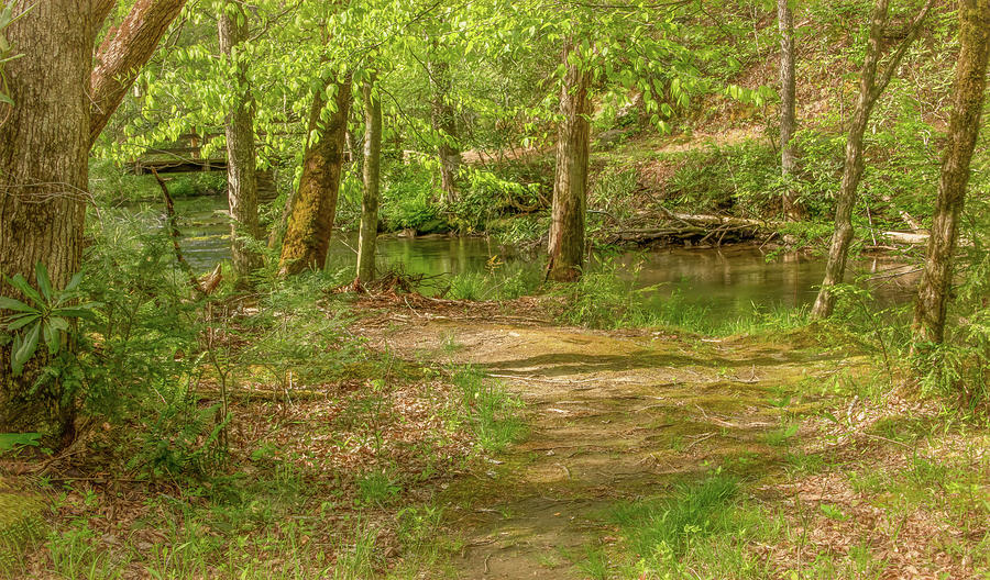 Quiet Stroll Along the Creek, Cades Cove Photograph by Marcy Wielfaert