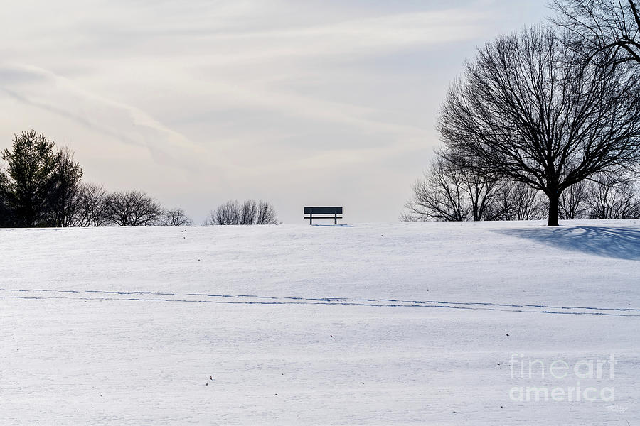 Quiet Winter Bench On Hill Photograph by Jennifer White