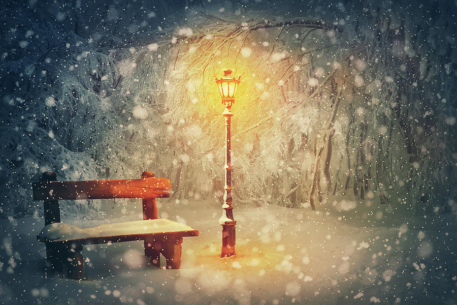 Quiet Winter Night Photograph by PsychoShadow ART