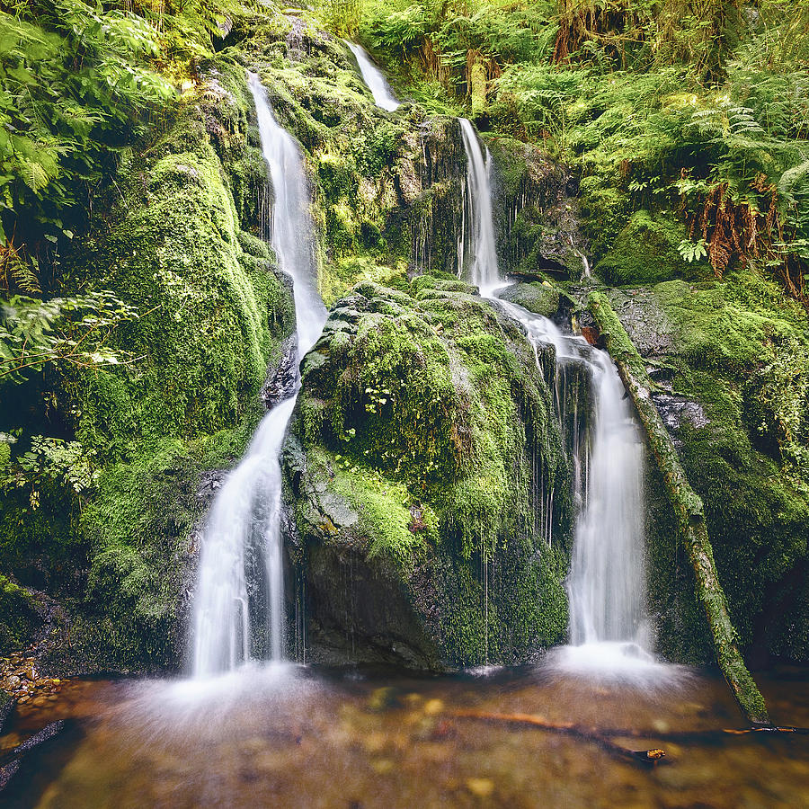 Quinault Waterfall Photograph by Gary Geddes