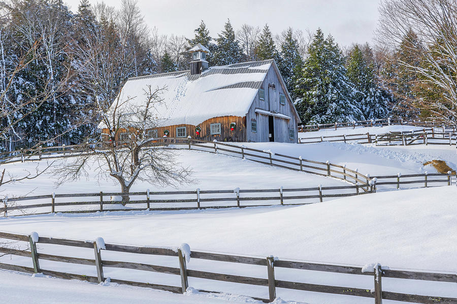 Quintessential New England Barn Winter Scenery Photograph by Juergen Roth