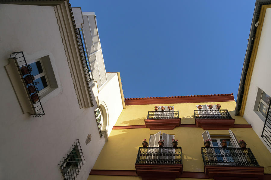 Quintessential Spain - Charming Sevillian Courtyard In Barrio Santa Cruz Photograph