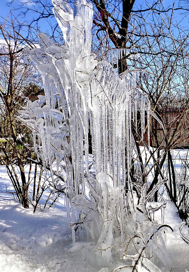 Quirksful Ice Sculpture Photograph by Lyuba Filatova