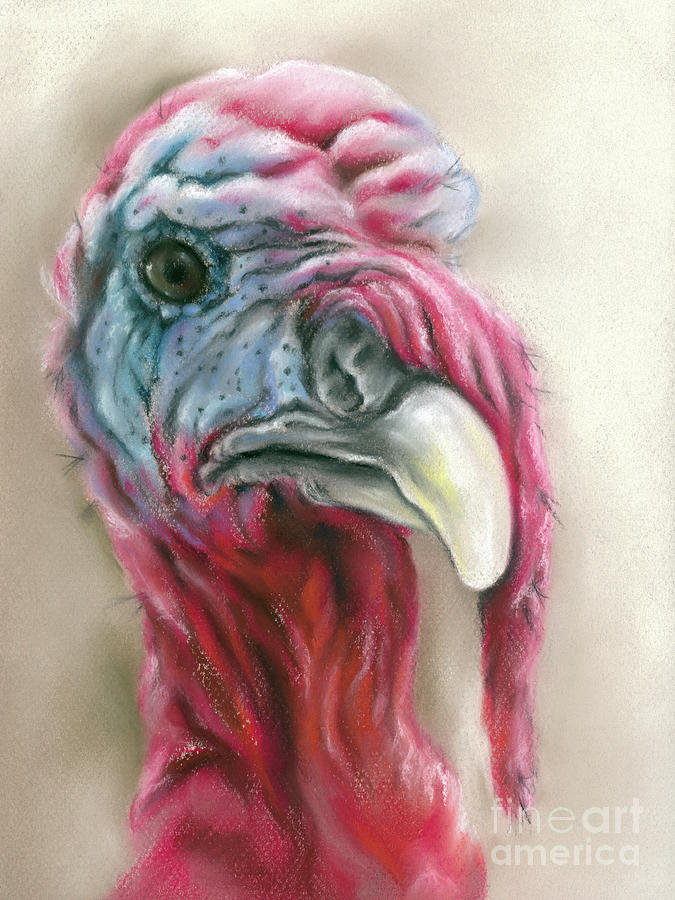 Quirky Turkey Gobbler Portrait Painting by MM Anderson