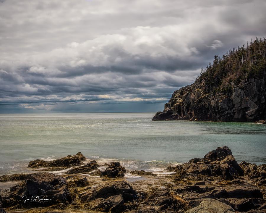 Nature Photograph - Quoddy Head State Park on a Cloudy Day by Jan Mulherin