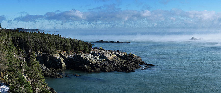 Quoddy Head State Park Panorama Photograph by Marty Saccone