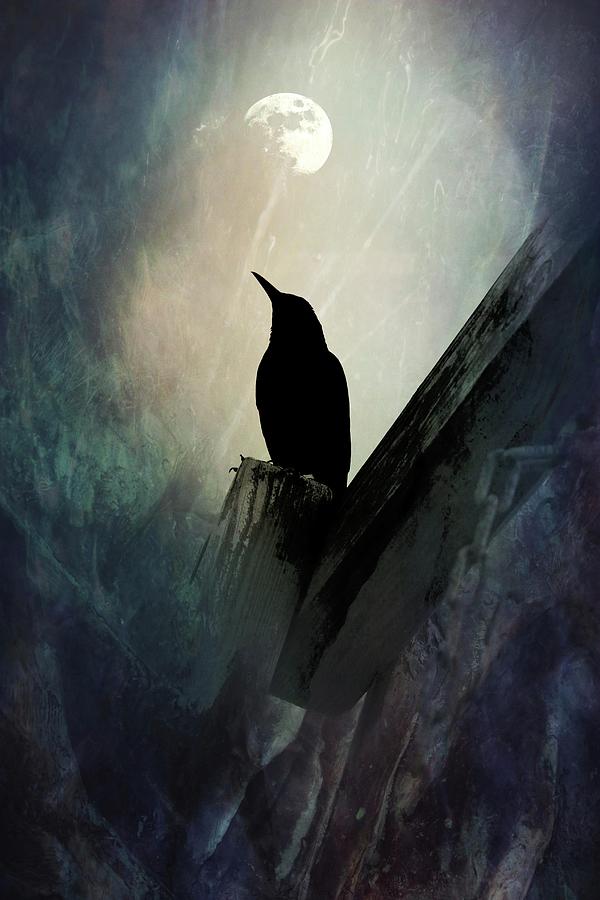 Quothe The Raven Photograph by Yvonne Sewell