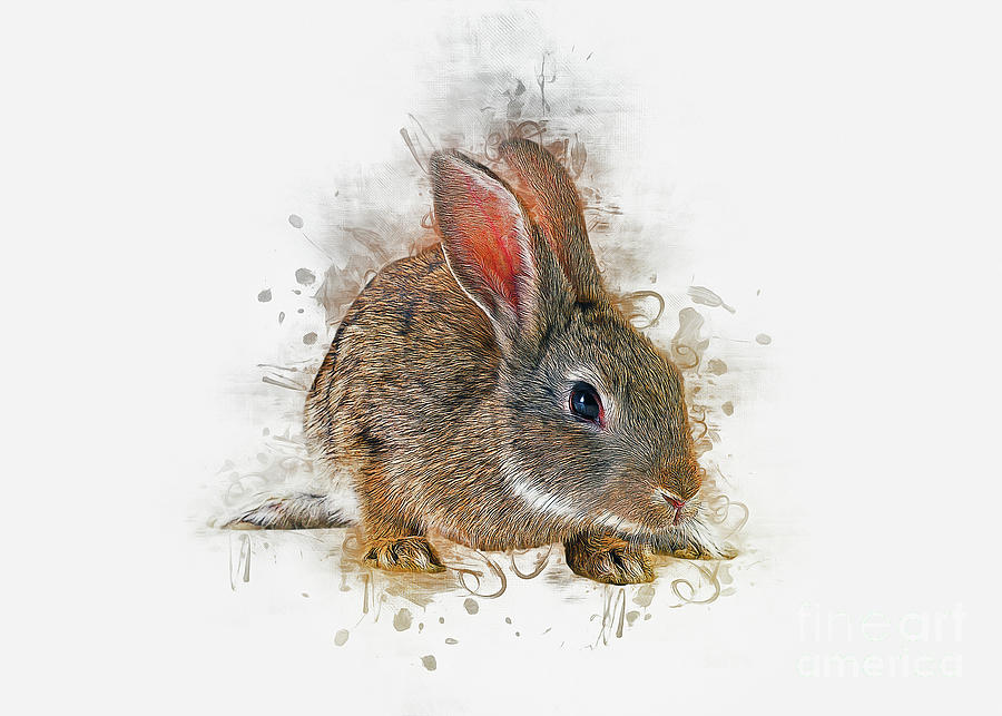 Rabbit Art Digital Art