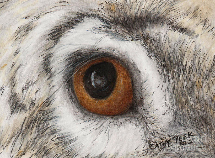 Rabbit Eye Cathy Peek Animal Eyes Art Series Drawing by Cathy Peek