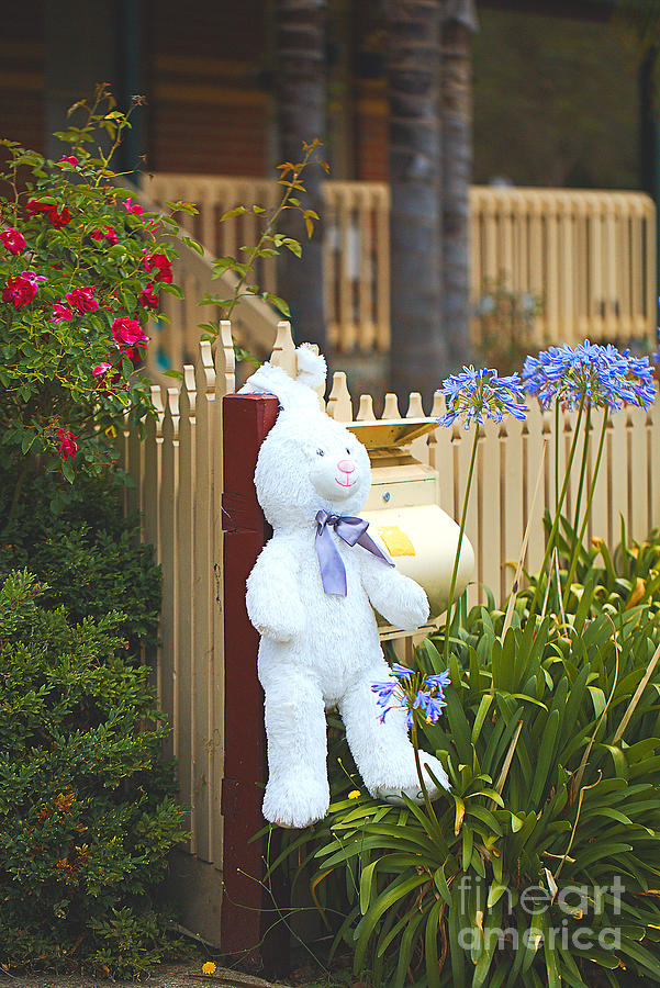 Rabbit Fluffy Toy Hanging Out Photograph by Joy Watson
