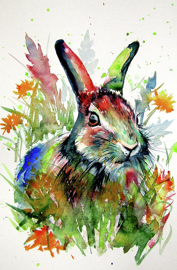 Rabbit in the grass Painting by Kovacs Anna Brigitta