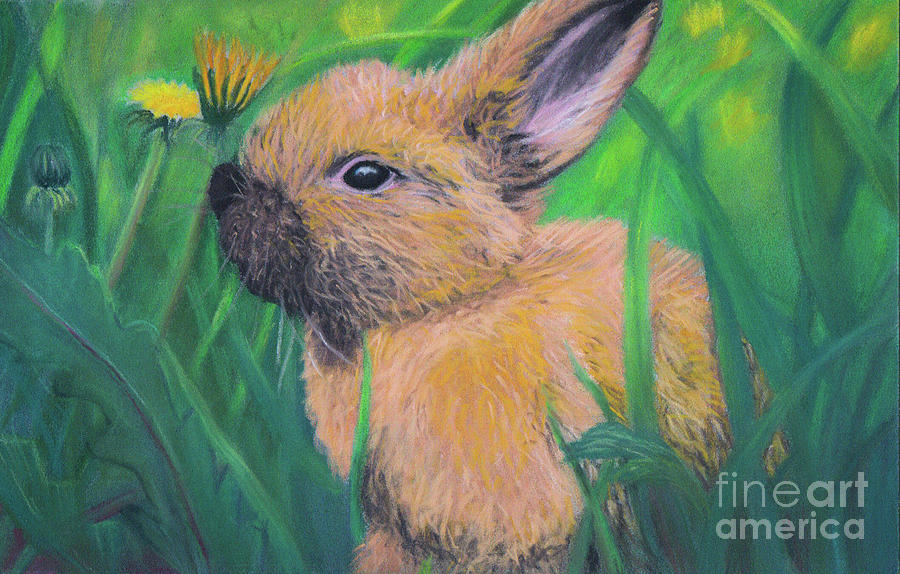 Rabbit in the grass Pastel by Vics Art Shop - Fine Art America