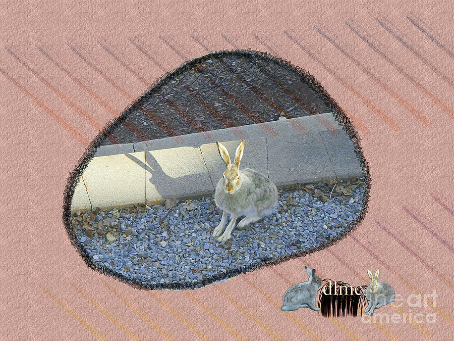 Rabbit V2 Digital Art by Donna L Munro